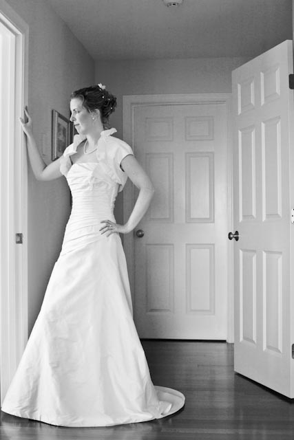  pics vs professional wedding pictures wedding dress pictures sample 