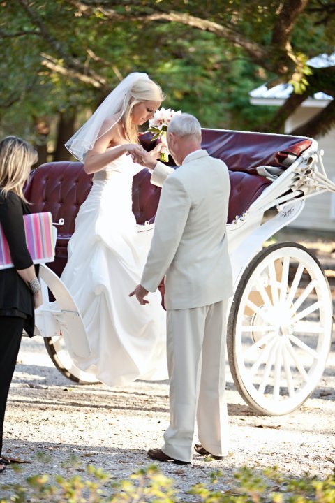 I've got more PRO pics ladies!!! :) :  wedding 25856 1200058736241 1671733371 386055 4785183 N