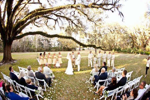 I've got more PRO pics ladies!!! :) :  wedding 25856 1200058896245 1671733371 386059 4232912 N