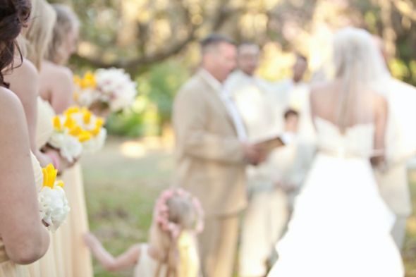 I've got more PRO pics ladies!!! :) :  wedding 25856 1200059096250 1671733371 386063 3358857 N