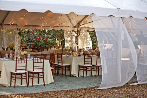 I've got more PRO pics ladies!!! :) :  wedding 25856 1200059256254 1671733371 386067 4217520 N