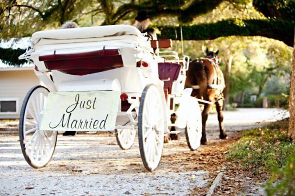 I've got more PRO pics ladies!!! :) :  wedding 25856 1200059576262 1671733371 386075 6346098 N