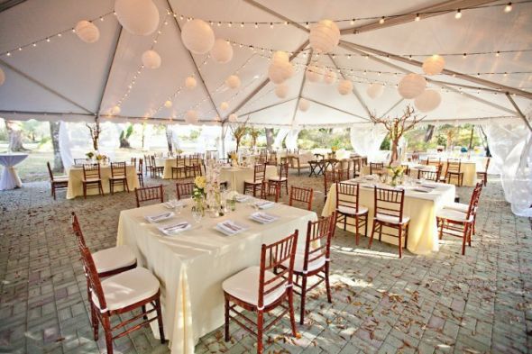 I've got more PRO pics ladies!!! :) :  wedding 25856 1200061536311 1671733371 386118 237760 N
