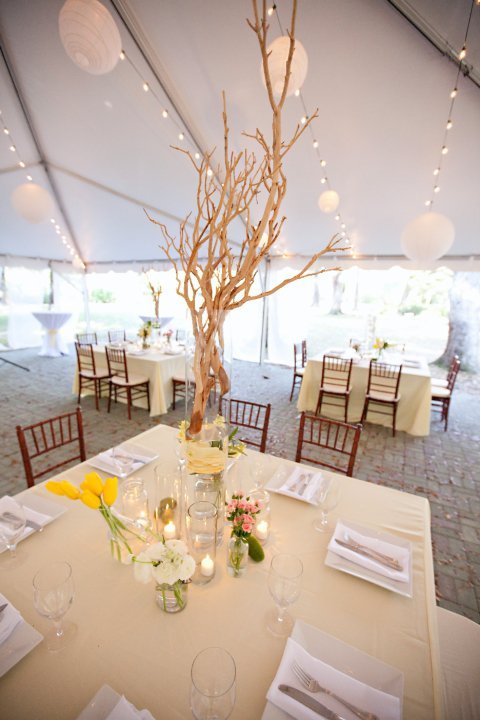 Okay give it to me.... What do you all think? : wedding 25856 1200061736316 1671733371 386122 6923489 N