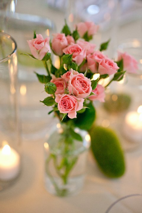 I've got more PRO pics ladies!!! :) :  wedding 25856 1200061776317 1671733371 386123 3504202 N