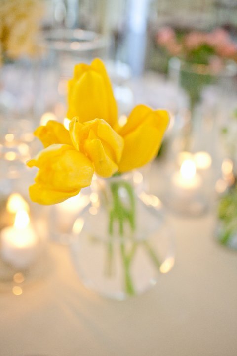 I've got more PRO pics ladies!!! :) :  wedding 25856 1200061856319 1671733371 386125 314454 N