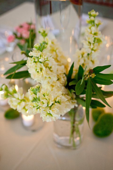 Okay give it to me.... What do you all think? : wedding 25856 1200061936321 1671733371 386127 6356208 N