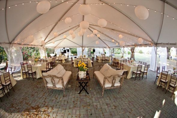 I've got more PRO pics ladies!!! :) :  wedding 25856 1200062096325 1671733371 386131 2991792 N