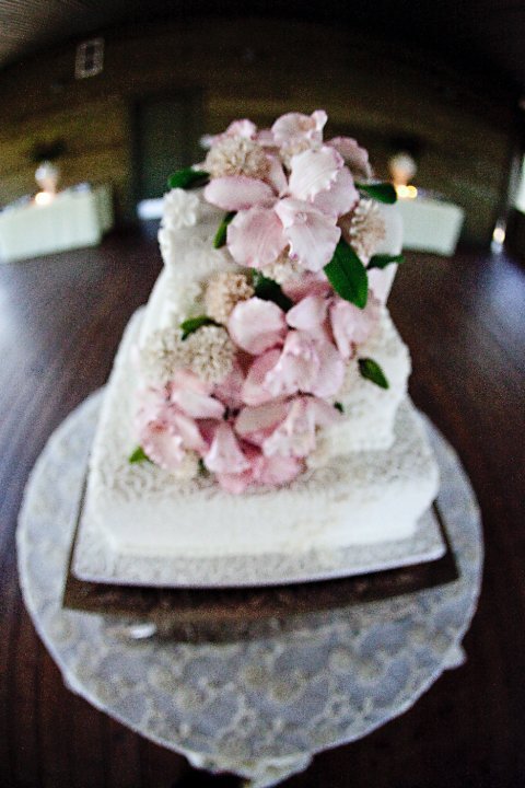 I've got more PRO pics ladies!!! :) :  wedding 25856 1200062136326 1671733371 386132 5217581 N
