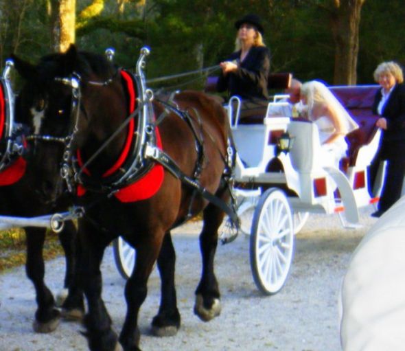 OMG...I'm married?! :  wedding 26351 1179166413946 1671733371 350720 5914980 N