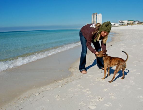Pics of your pets!! :  wedding Beach10