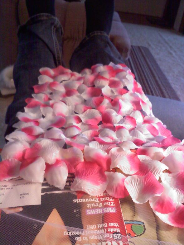 9000 Petal aisle runner/liner.... :  wedding 0302011347