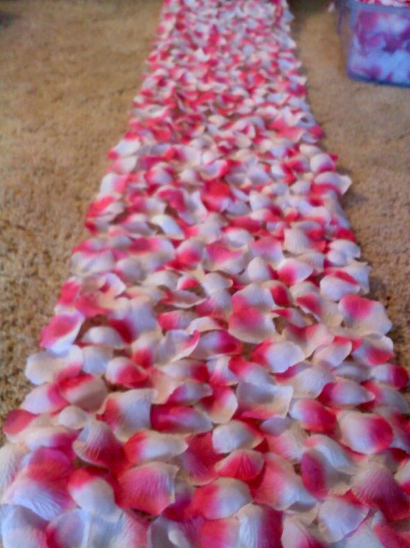 9000 Petal aisle runner/liner....