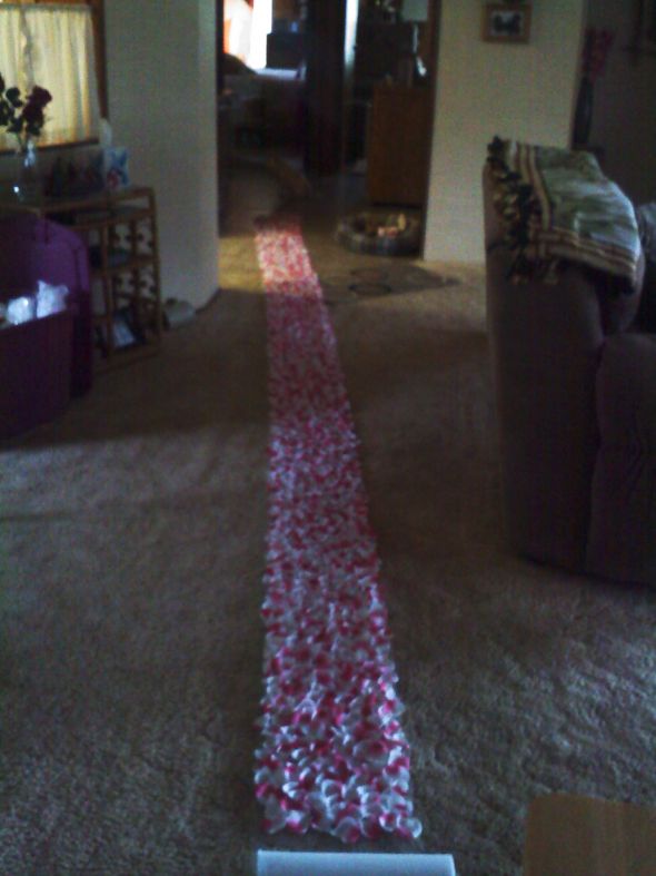 9000 Petal aisle runner/liner.... :  wedding 0303011000a
