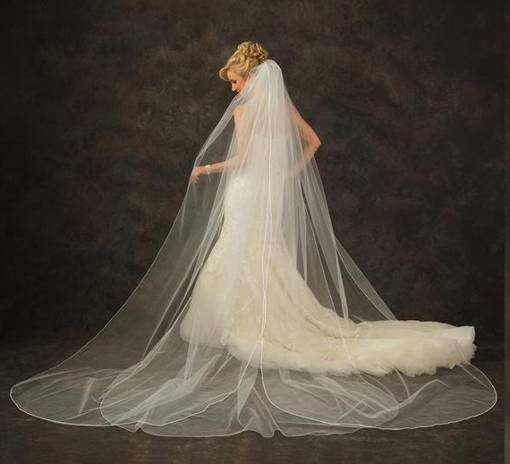Looking for Cathedral Length Veil w Scattered Crystals Ivory or Diamond 