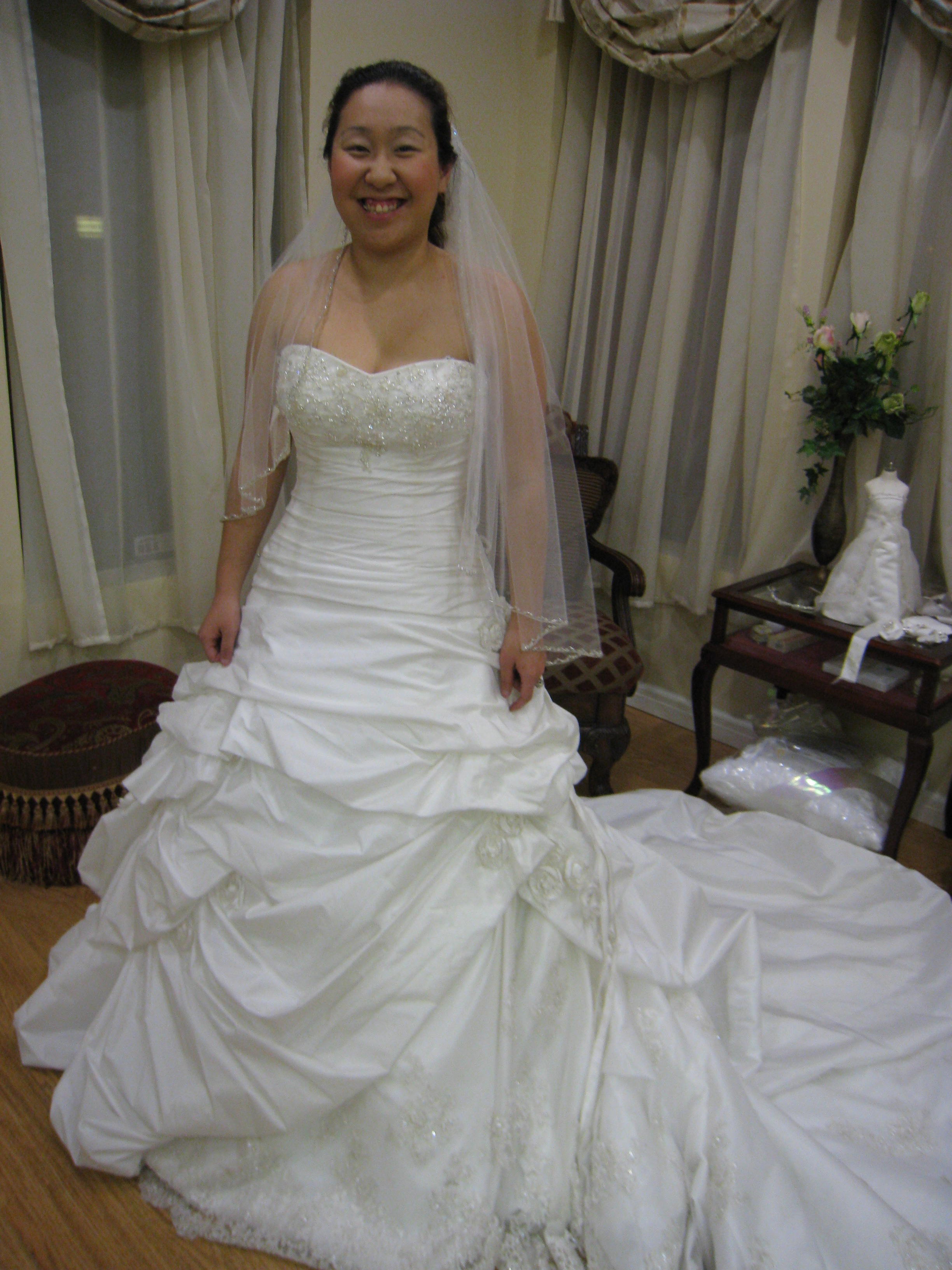 Dresses with heavy beading AND a corset... pictures? :  wedding Downloadfile 1
