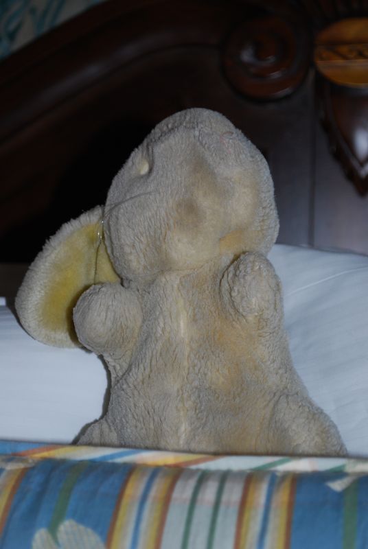 My ring bearer will be carrying.... :  wedding ring bearer stuffed animals DSC 0015 2