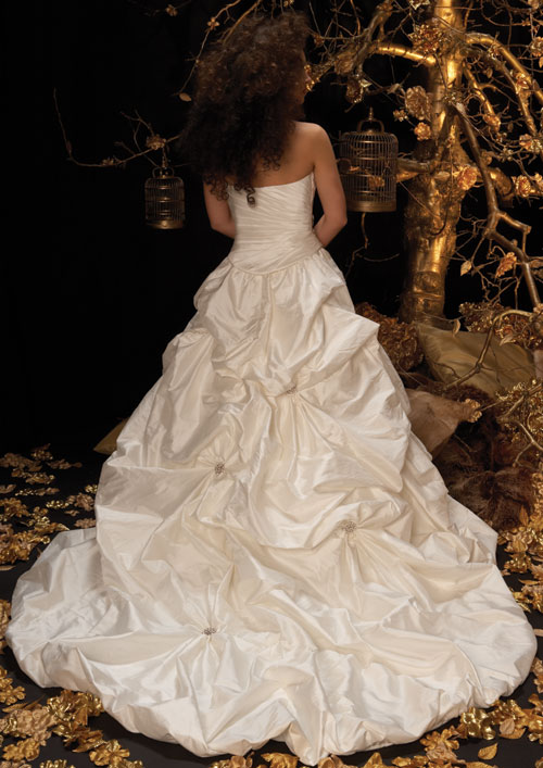 Any other Justin Alexander Brides? :  wedding justin alexander brides dress Brautkleid Hinten