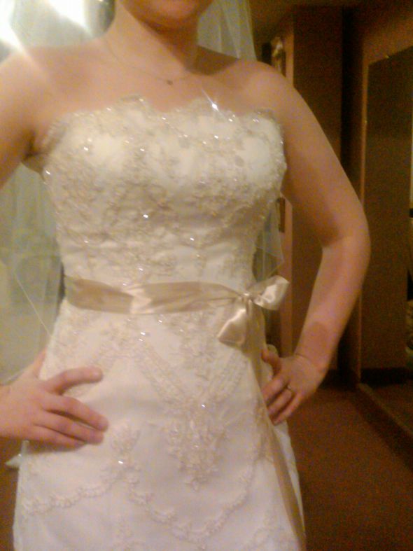 The beautiful dress that I did get. :  wedding IMG00047 20100209 1907