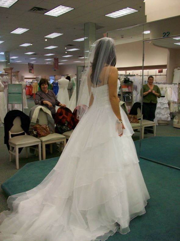 Is it me...or has David's really stepped up :  wedding davids bridal david db Dress Back