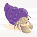 New Generation :  wedding HermitCrab