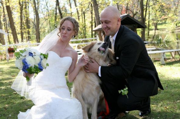 Pets in Engagement photos? :  wedding engagement photos dog puppy Puppy