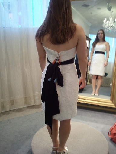 Which short dress? Poll + Pictures :  wedding dress poll 2011 01 22 16.04.57
