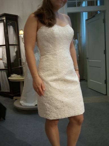 Which short dress? Poll + Pictures :  wedding dress poll 2011 01 22 16.06.31