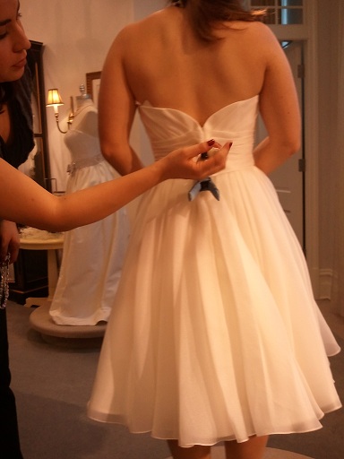 Which short dress? Poll + Pictures :  wedding dress poll 2011 01 22 16.13.15