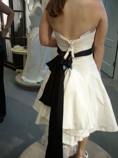 Which short dress? Poll + Pictures :  wedding dress poll 2011 01 22 16.32.07