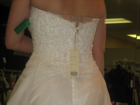 No more Doubt, I ordered MY DRESS!!! :  wedding IMG 2058