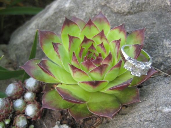 Let's give our rings some love :  wedding engagement rings diamonds IMG 5744