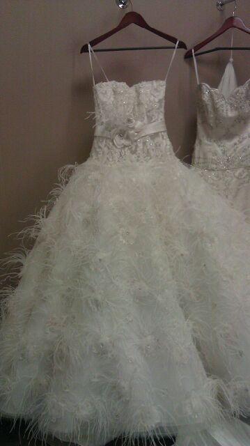 Finally got to try on the NEW AMALIA CARRARA in Magazine. Dress Pic :  wedding amalia carrara eve of milady amalia carrara 2011 IMAG0011