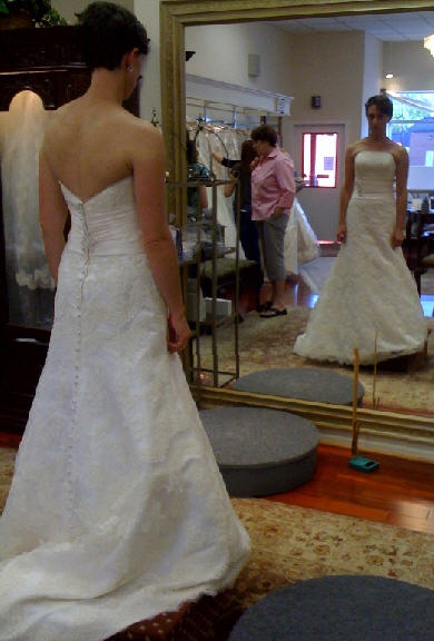 My dress! (AKA pictures of me without a head) :  wedding dress Dress2