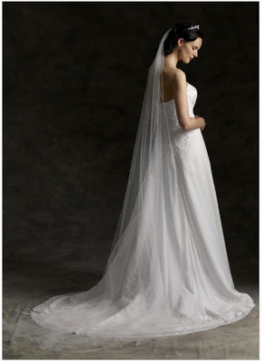 You're wedding day attire :  wedding RelentlessBride Davids Veil 3