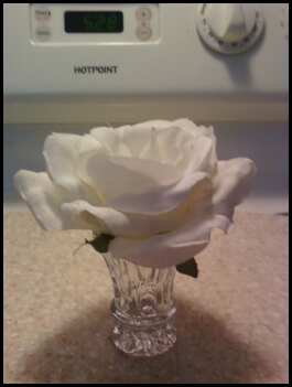 This is why I love Weddingbee.com.  Thank you bee, for your great idea!!!!! :  wedding Single
