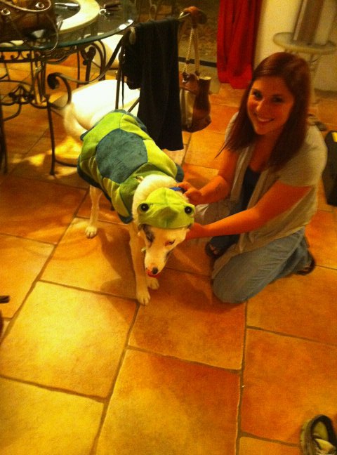 Does your dog wear a jacket/clothes? :  wedding 149745 725844724615 42401345 39143993 2823636 N