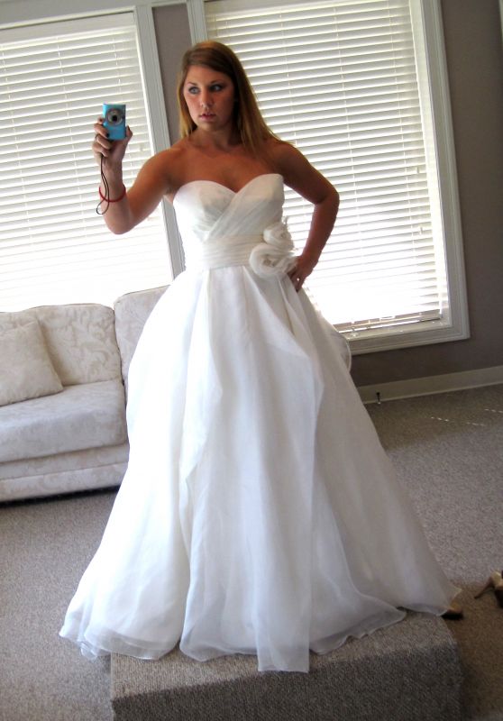 Show me your Strapless Wedding Dresses... :  wedding Dress 001