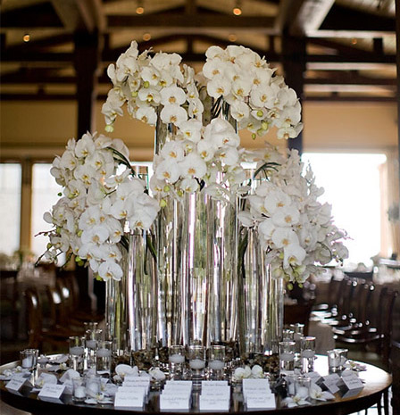 Orchid Inspiration :  wedding orchid centerpiece 3168153698 79ec146b30 O
