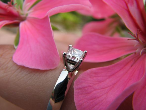 Reader Ring Shots 2010, Part 2 :  wedding features rings IMG 1256 IMG_1256 