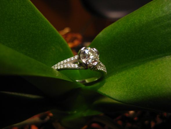 Reader Ring Shots 2010, Part 3 : wedding features rings Ring 017 Small ring_017-small