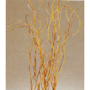 Green Curley Willow Branches :  wedding curley willow green diy reception 619HjG8aFgL  AA300 