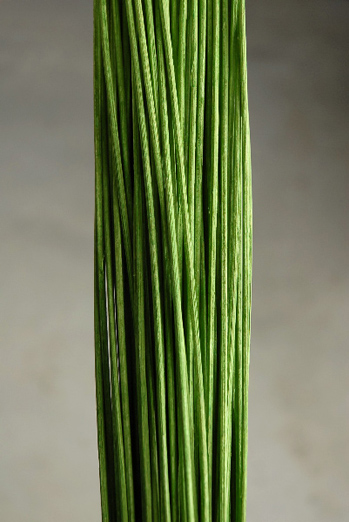Green Curley Willow Branches : wedding curley willow green diy reception Willow2