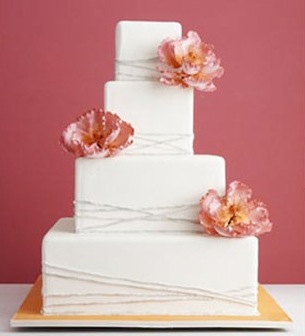 My Cake Fail :  wedding cake Lines