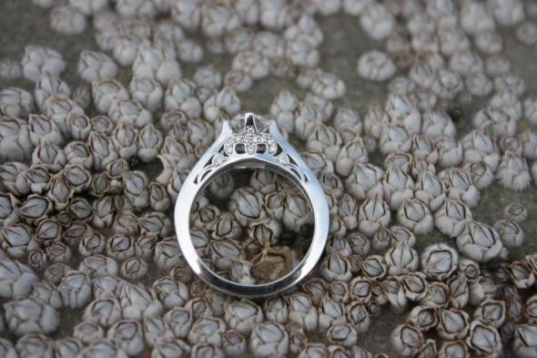 What to do when your Dad proposes. :  wedding proposal bakerella ring father dad parents IMG 0375