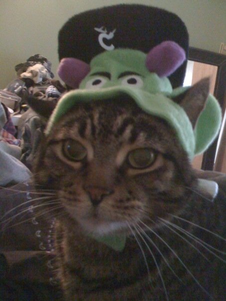 Halloween!  Are you dressing up?! :  wedding N515661845 1433763 8089