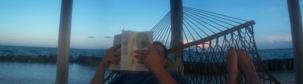 Back from our private island Belizean honeymoon! :  wedding belize honeymoon island Panoramic