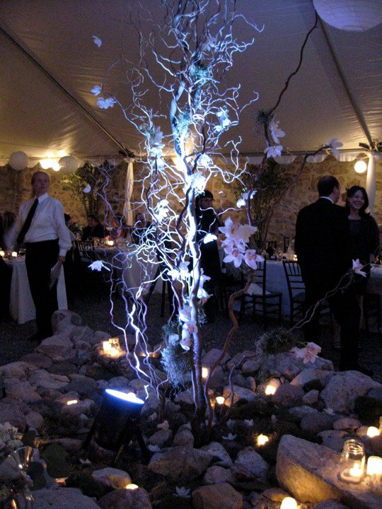 What is your favorite element of your wedding wedding Tent Corkscrew 