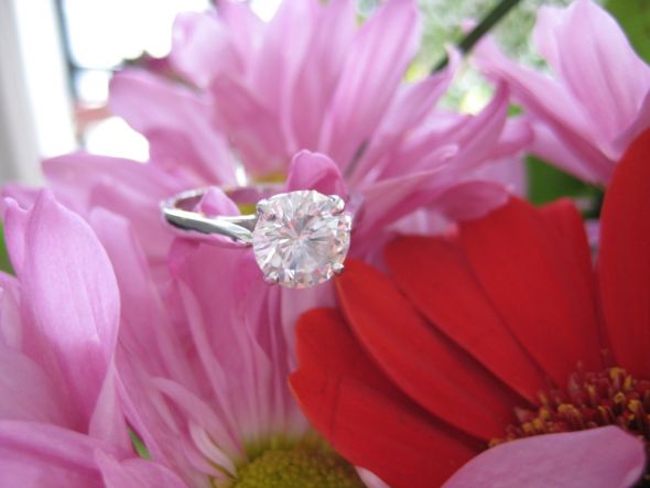 Reader Ring Shots 2010, Part 7 :  wedding features rings January 10 113 January_10_113 