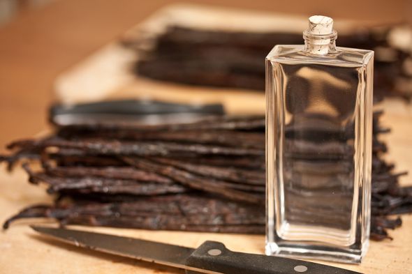 Vanilla Extract Favors :  wedding IMG 6171
